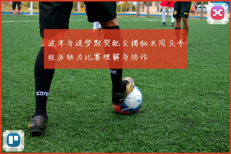 波津与追梦默契配合揭秘共同交手经历助力比赛理解与协作