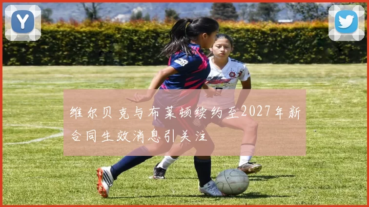 维尔贝克与布莱顿续约至2027年新合同生效消息引关注